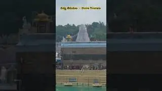 #Tirumala#Tirupati#Ttd#Temple#Devotional#Spiritual#Pilgrim#Travel#Vlog#Shorts#Viral#Video#Trending
