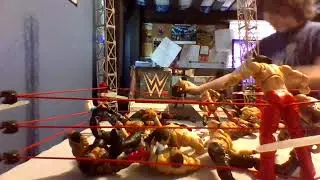 p3 of the royal rumble