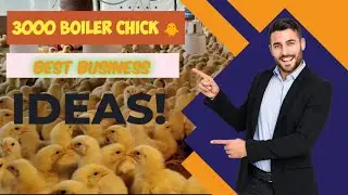 Poultry Farm Profit Kitna Hota Hai? | 3000 Chicks Owner Ki Real Kahani