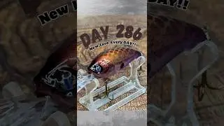 Day 286 - Airbrushing Custom Fishing Lures  - DIY Lure Painting #baitmaking #handmadelure #fishing