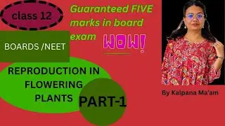 Sexual Reproduction In Flowering plants | Biology |Class 12th Boards |NEET 2026|By Kalpana ma&rsquo;am 