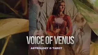 Venus in the Signs 2025 for Ateez Wooyoung,Jung So min, D.O., SKZ Hyunjin & Black Pink Jisoo