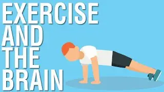 EXERCISE AND THE BRAIN - SPARK BY JOHN RATEY