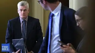 Senator Cassidy shares constable's message in Ida aftermath