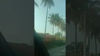 nature looking  beautiful much