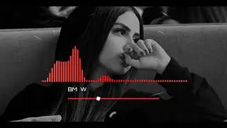 VIP Music//🌹🌹🌹