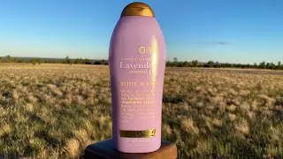 OGX beauty , lavender essential oil body wash Review