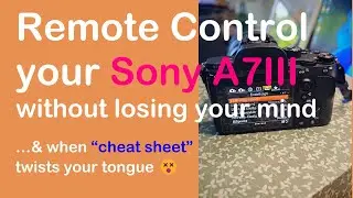 Remote Control Your Sony A7III without losing Your Mind