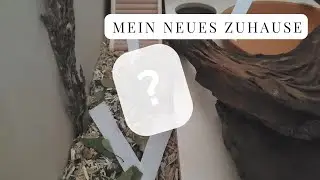 Hamsterkäfig einrichten Schritt für Schritt + unser neuer Hamster
