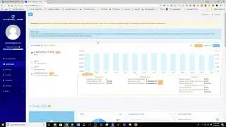 Po-Boys Hashflare.io Cloud Mining Experiment #10