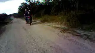 PECAH PERAWAN DI KEBUN SAWIT