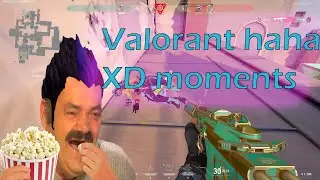 VALORANT funny haha XD moments