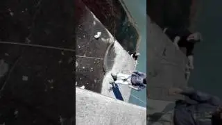 Pesca de congro no farol da Foz