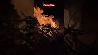 Lil camp fire #fire #campfire #fireplace #firesound #burn #burning #nature
