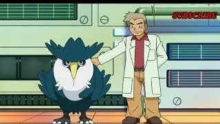 Honchkrow attacks professor oak |pokemon quiz#professoroak