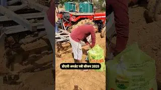 DAP fertilizer update Rabi season 2025 // DAP fertilizer price 2025