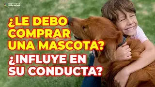 COMPRAR UNA MASCOTA A TU HIJO - ¿CUÁNTO INFLUYEN LAS MASCOTAS EN LA CONDUCTA DE UN NIÑO?