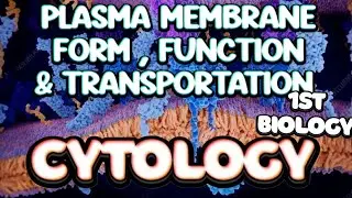 Plasma Membrane Composition - Functions & Transportation &bull; Cytology Lec 2