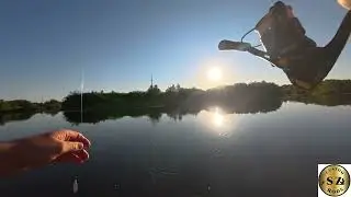 Риболовля на ультралайт.  Річка Стир