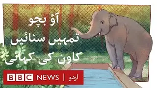 Kavaan: Story of World's Loneliest Elephant - BBC URDU