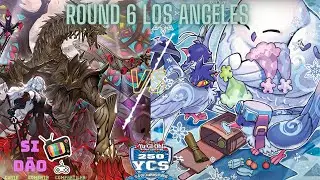 YCS Los Angeles 2023   Round 6Despia vs Floowandeereze