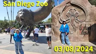 San Diego Zoo 030924