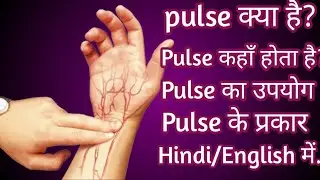 Pulse क्या है? कहां होता है उसका उपयोग और प्रकार l