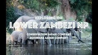 Lower Zambezi Exploration