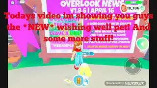 Seeing *NEW* wishing well pet!