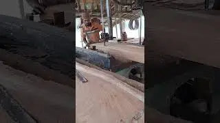 woodworking #timberprocessing #shorts