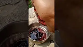 start up!how to make ink with black berry