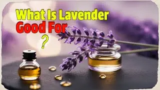 What Are the Surprising Health Benefits of Lavender?