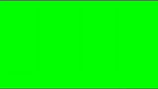 green screen za warudo diego brando