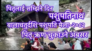 Bala Chaturdarshi//Pashpatinath// Pashupati Mela-2082// वालाचतुर्दर्शि मेला पशुपनाथ  काठ्माण्डौ//