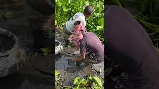 Village old and young men catching fish with bare hands from the mud 😱🐟