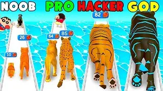 NOOB VS PRO VS HACKER VS GOD IN CAT EVOLUTION WITH SHINCHAN & CHOP