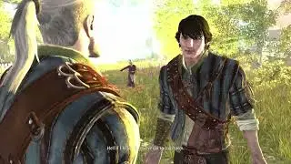 I Tried To Play These 4 Witcher 2 Story Mods(Lykaon - New Bard - Fallglen - Hearts Of Men )