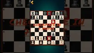 kinge's gambit chess trap win in 7 moves #chess #siciliandefense #shortvideo #shorts #gaming