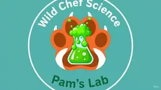 Pam&rsquo;s Wild Chef Science Segment: Dancing Raisins!