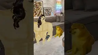MEUS PAIS PEGAVAM MEU CELULAR
