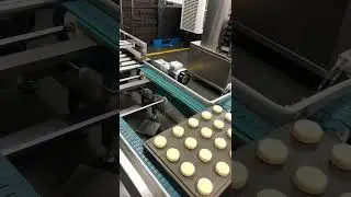 Moon cake line