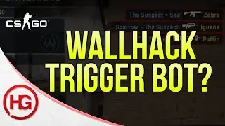 Wallhack & Trigger Bot? (CS:GO Overwatch #19)
