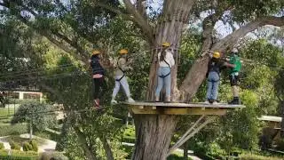 Experience Tree Surfing at the Enchanted Adventure Garden