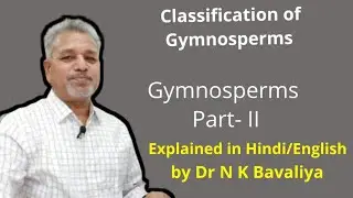 Classification of Gymnosperms by Dr N K Bavaliya Principal Govt Science College Sikar Rajasthan