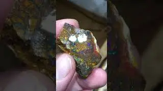 A colorful slice of rough Koroit opal -