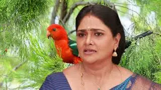 Pandian Store 2 Serial Upcoming Episode Review December 30th | 2025