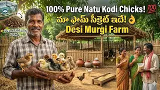 ఫిష్ వాటర్ = కోడి పెండ్లు? 😲 | Natural Farming Secret Fish Water Trick 🔥 కోడి పెండ్లు మటాష్ 🌱 | Fish