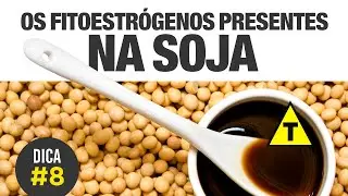 SOJA &eacute; saud&aacute;vel? Cuidado com os FITOESTR&Oacute;GENOS [DICA #8] 🤔❓
