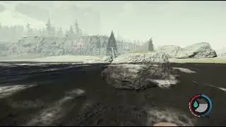 The Forest_20260109025020