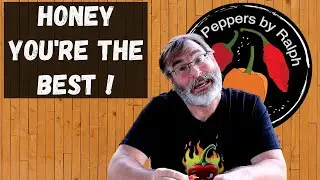 13 Peppers Live Stream